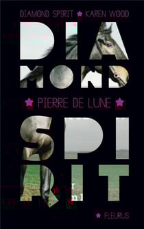 Diamond spirit t.2 - l'esprit du cheval sauvage