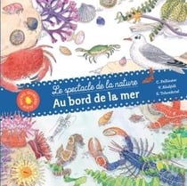 Au bord de la mer - le spectacle de la nature