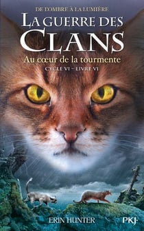 Un palais d'épines et de roses (ACOTAR) Tome 4 : un palais de flammes  d'argent : Sarah J. Maas - Romans pour Ado et Jeunes Adultes