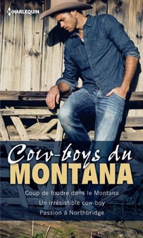 Cow-boys du Montana - coup de foudre dans le Montana - un irrésistible cow-boy - passion à Northbridge