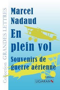 En plein vol - souvenirs de guerre aérienne