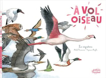 À vol d'oiseau - les migrations