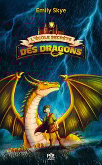 L'École secrète des dragons Tome 5 : Le Tribunal des sept flammes
