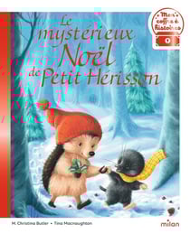 Le mystérieux Noël de Petit Hérisson