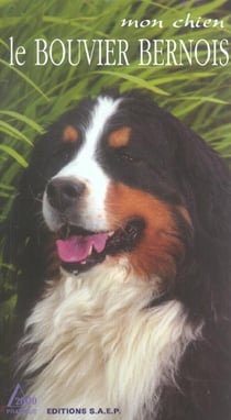 Mon chien le bouvier bernois