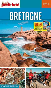 GUIDE PETIT FUTE - REGION