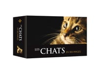 Les chats en 365 images 2019 (édition 2018)