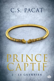 Prince captif Tome 2