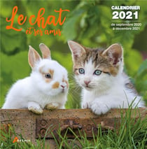 Calendrier le chat et ses amis 2021 (édition 2021)