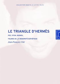 Le Triangle d'Hermès : Poe, Stein, Warhol : figures de la modernité esthétique