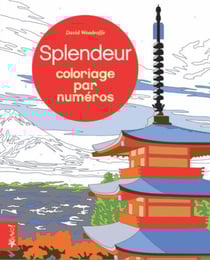 Coloriage par numéro - splendeur - coloriage par numéros géants