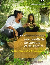 Les champignons, une cueillette de savoirs et de saveurs - entre Causse et Cévennes