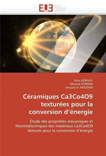 Ceramiques ca3co4o9 texturees pour la conversion d energie