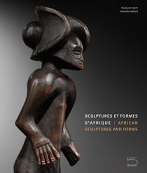Sculptures et formes d'Afrique