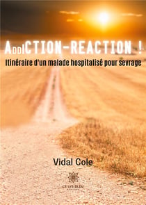 Addiction-réaction ! itinéraire d'un malade hospitalisé pour sévrage