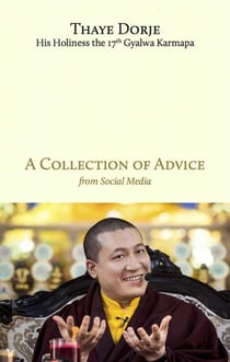A collection of advice - from social media