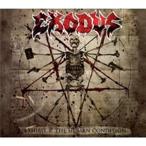 Exhibit B : the human condition