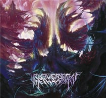Immersion