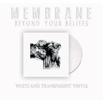 Beyond Your Beliefs
