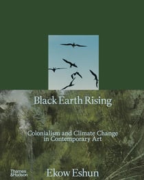 Black earth rising
