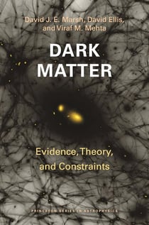 Dark matter : Evidence, theory, and constraints