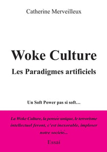 Woke culture, Les Paradigmes artificiels : Un Soft Power pas si soft...
