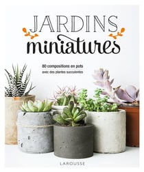 Jardins miniatures avec des plantes succulentes