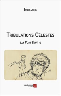 Tribulations Célestes : La Voie Divine