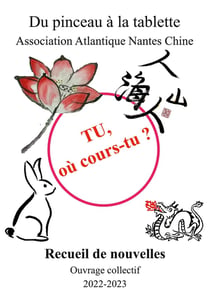 Tu, où cours-tu ? : Recueil de micronouvelles chinoises