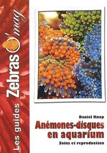 Anémones-disques en aquarium
