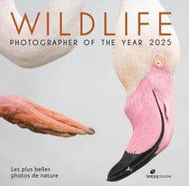 Wildlife Photographer of the Year : Les plus belles photos de nature (édition 2025)