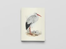 Carnet notes & lecture BNF : oiseaux d'Europe