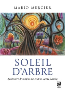 Soleil d'Arbre