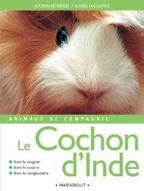 Animaux de compagnie : les cochons d'inde