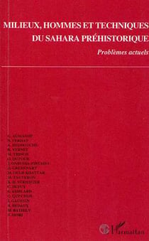 Milieux, hommes et techniques du sahara prehistorique - problemes actuels