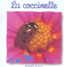 Coccinelle (la)