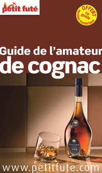 GUIDE PETIT FUTE - THEMATIQUES