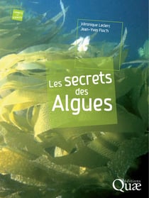 Les secrets des algues