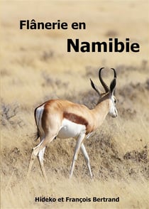 Flânerie en namibie