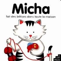 Micha fait des betises dans toute la maison