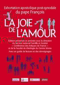 La joie de l'amour - exhortation apostolique post-synodale du pape François