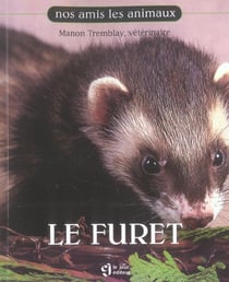 Le furet