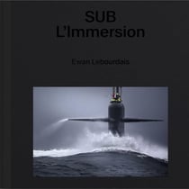 Sub immersion