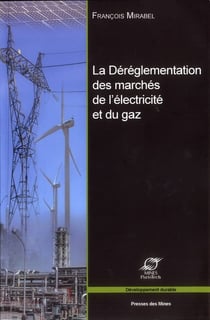 La déréglementation des marches de l'électricité et du gaz - les grands enjeux économiques