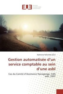Gestion automatisée d'un service comptable au sein d'une asbl : Cas du Comité d'Assistance Nyiragongo, CAN asbl, 2007