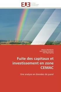 Fuite des capitaux et investissement en zone cemac - une analyse en donnees de panel