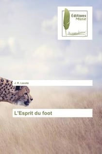 L'esprit du foot