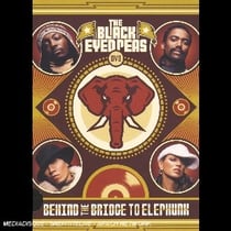 Behind the bridge to elephunk