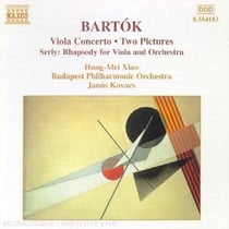 Viola concerto-Two pictures