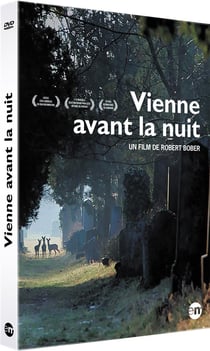 Vienne avant la nuit